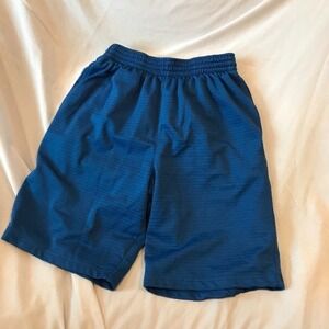 Striped Blue Athletic Shorts Mens XS
